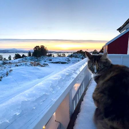 Wake Up To A Beautiful View And Smell Of The Sea Lägenhet Kristiansund Exteriör bild