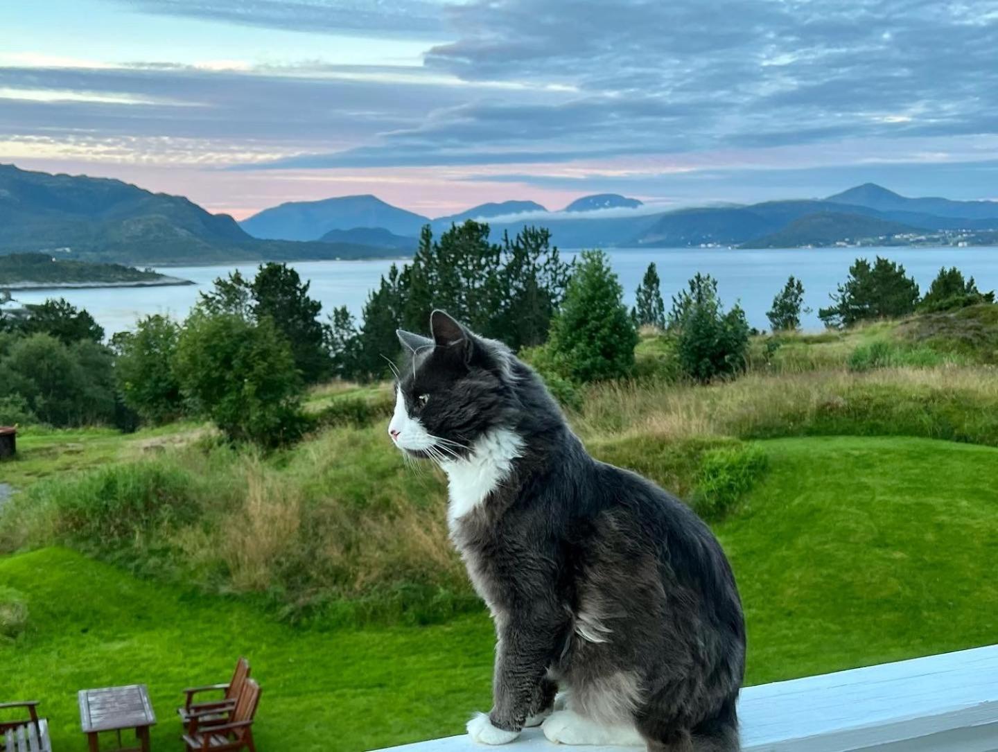 Wake Up To A Beautiful View And Smell Of The Sea Lägenhet Kristiansund Exteriör bild