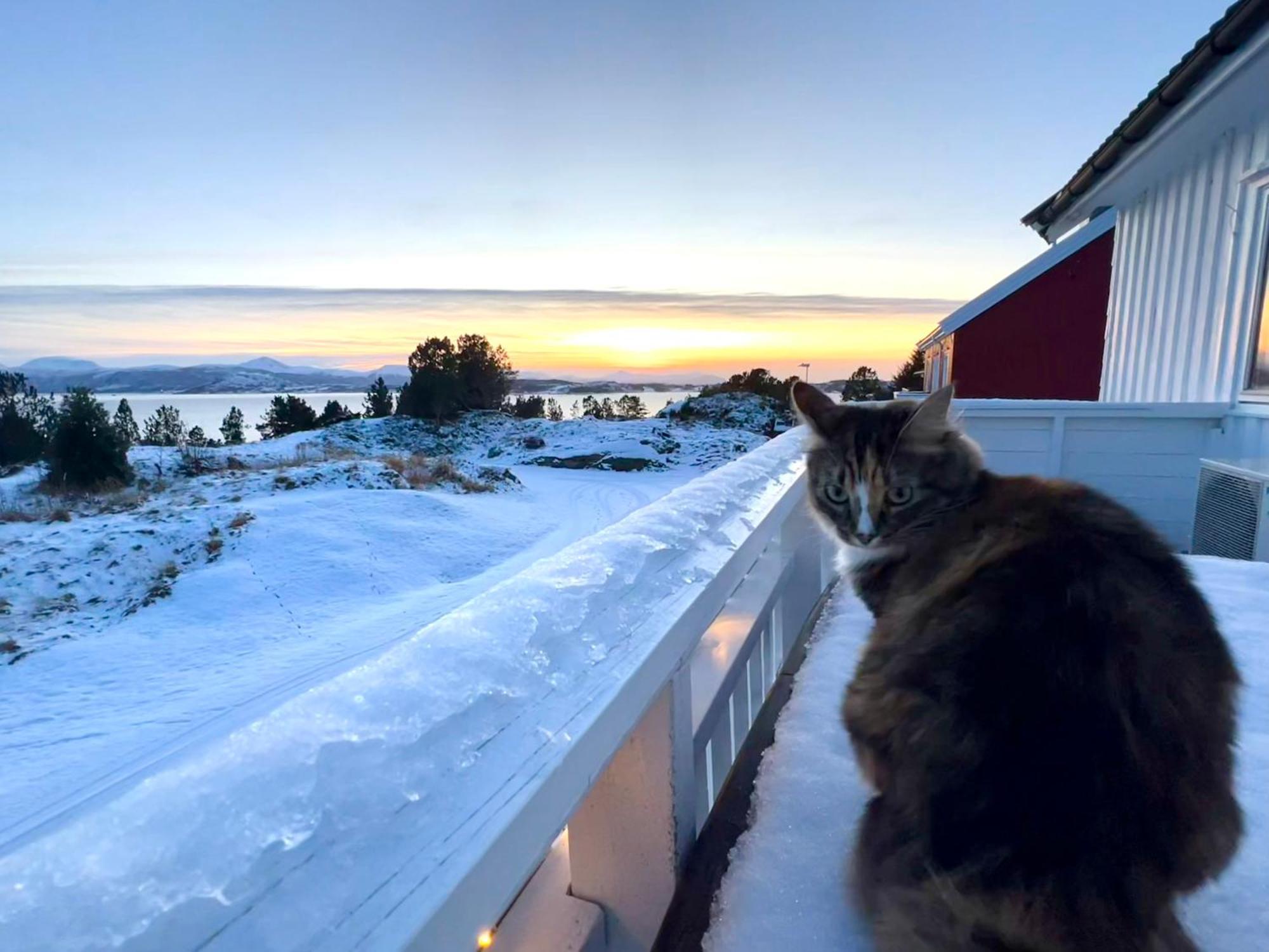 Wake Up To A Beautiful View And Smell Of The Sea Lägenhet Kristiansund Exteriör bild